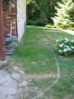 yard work 2010